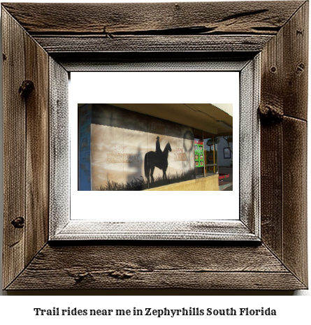 trail rides near me in Zephyrhills South, Florida